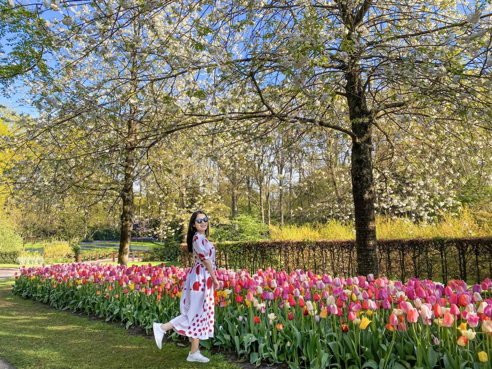 Những dãy hoa tulip trải dài vô tận chính là thứ tạo nên nét độc đáo cho lễ hội Keukenhof